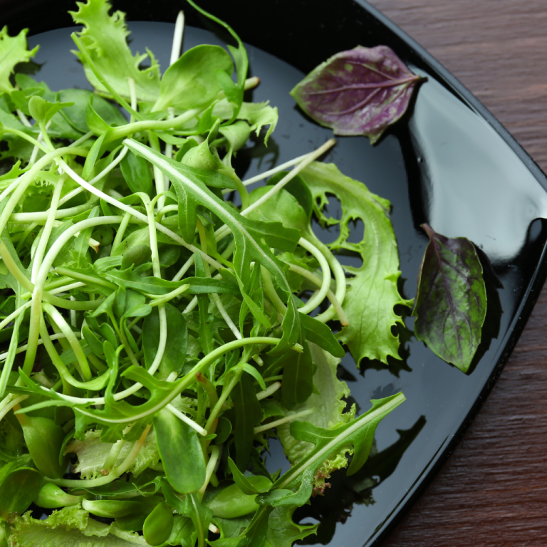 Zelena salata